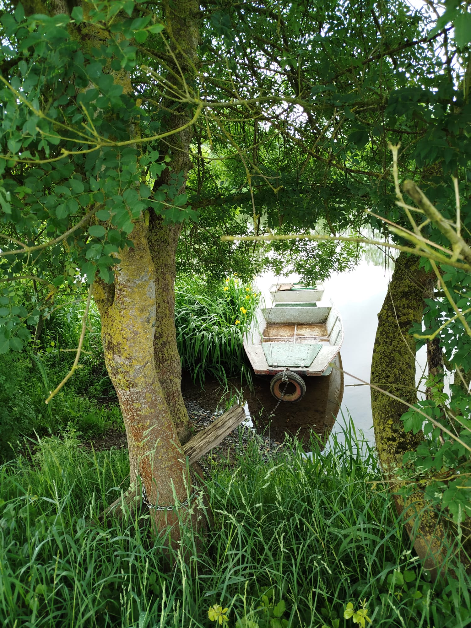 Bord de Mayenne – Les Frogeries