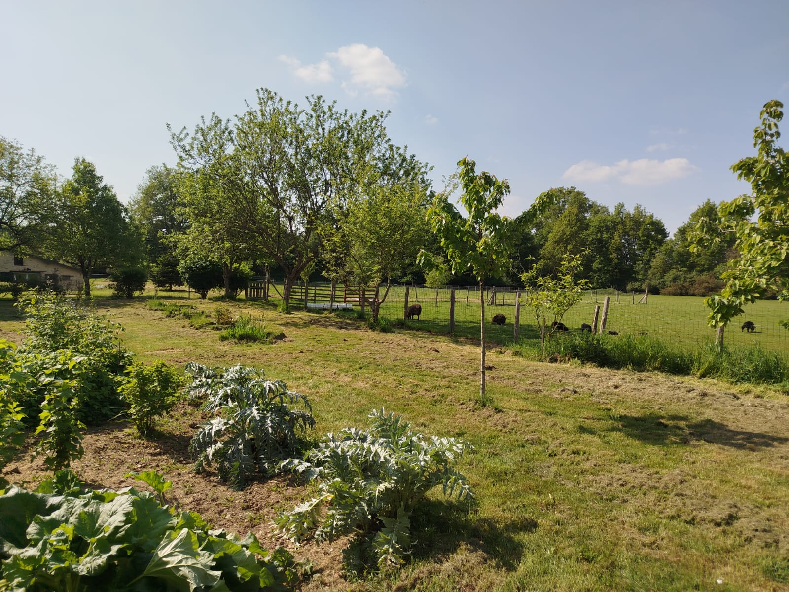 Jardin et propriété – Les Frogeries